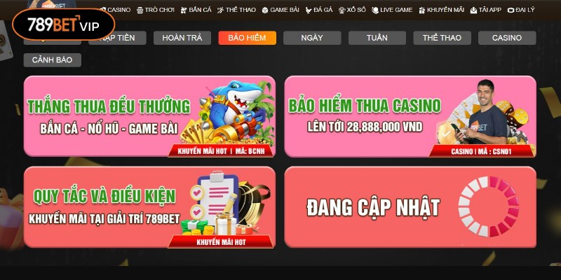 Chương trình bảo hiểm giúp hội yên tâm tham gia chinh chiến