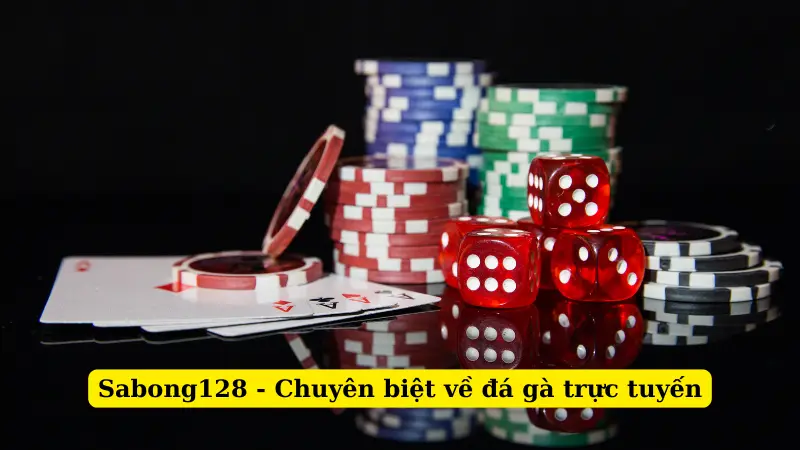 Sabong128 - Chuyên biệt về đá gà trực tuyến